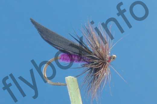Gilbey's Lilttle Dark Sedge